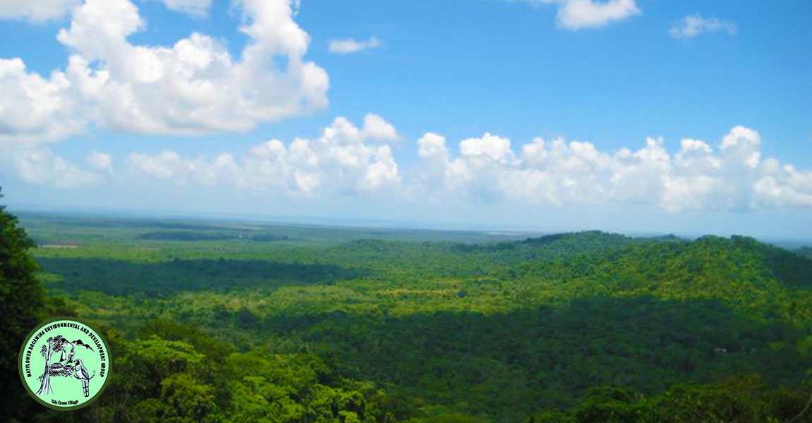 Mayflower Bocawina View