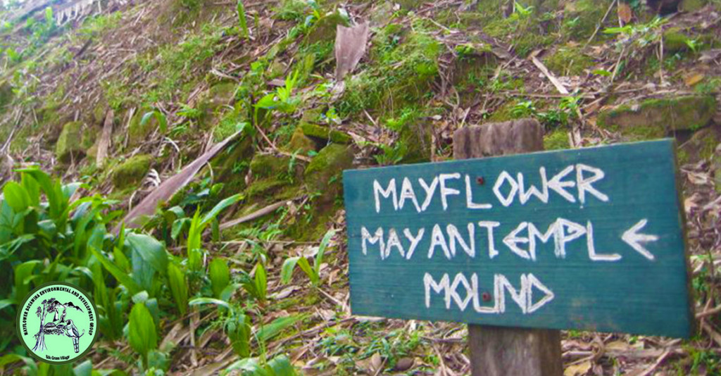 Mayflower Bocawina Maya