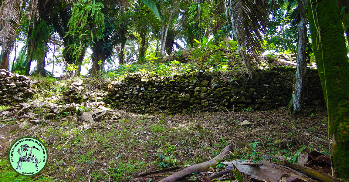 Mayflower Bocawina Maya