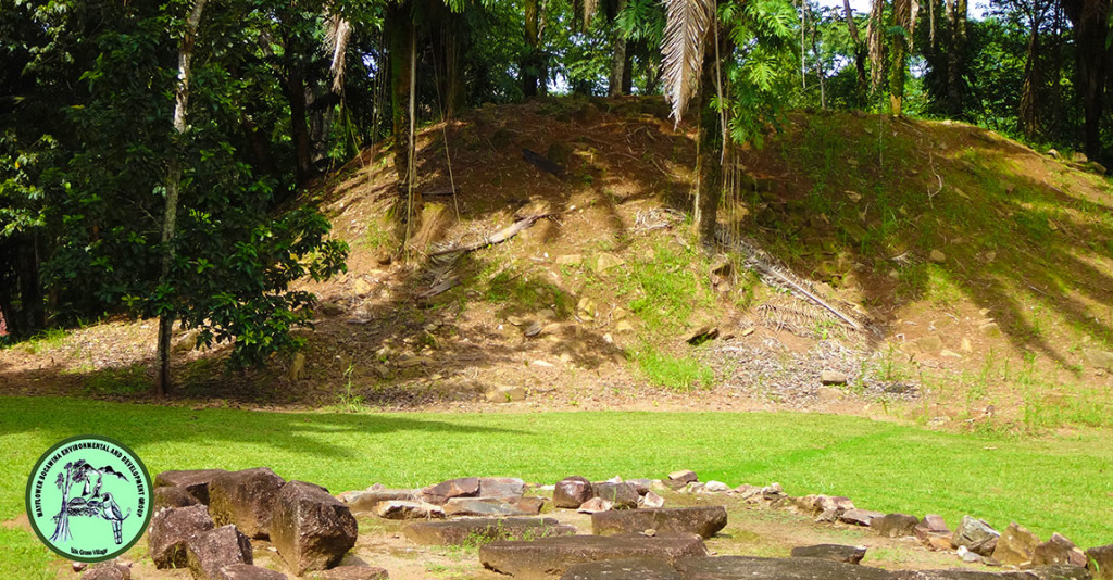 Mayflower Bocawina Maya