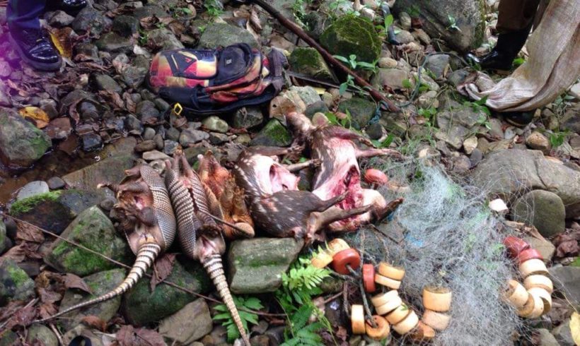 Unlawful Possession of Forest Produce near National Park
