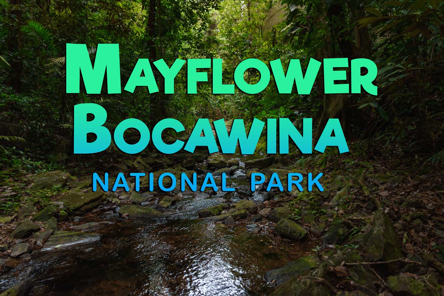 Home - MAYFLOWER BOCAWINA NATIONAL PARK